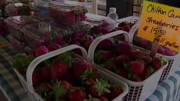 The Tuscaloosa Farmers Market voted Best Farmers Market in Alabama