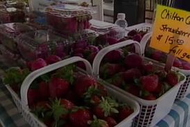 The Tuscaloosa Farmers Market voted Best Farmers Market in Alabama