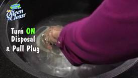 Queen of Clean: Deodorizing Your Garbage Disposal
