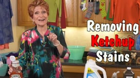 The Queen of Clean - Removing Ketchup Stains
