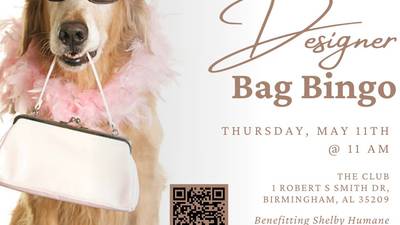 Designer Bag Bingo next month at The Club