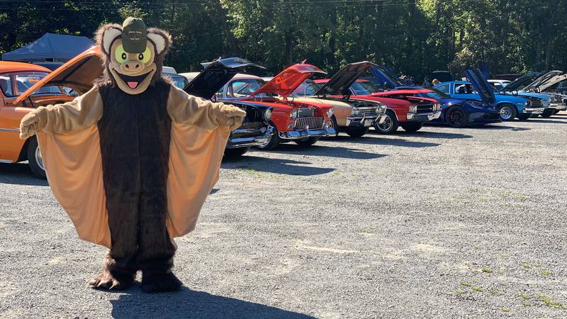 Cars at the Cave returns to Rickwood Caverns State Park